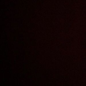 Meet your Posher, Jadynn